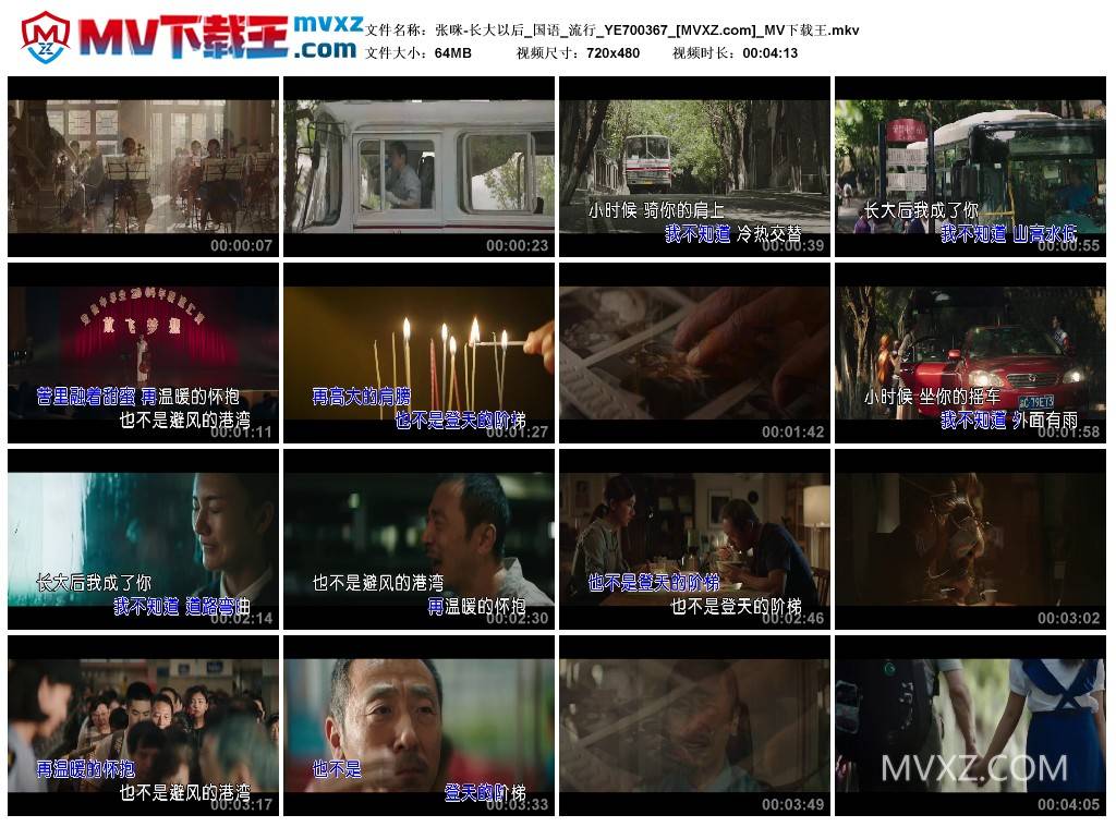 张咪-长大以后_国语_流行_YE700367